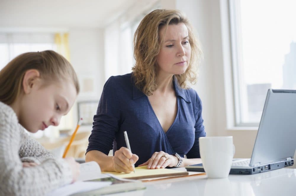 Wat is de beste thuisstudie van Nederland?