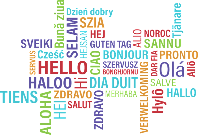 De voordelen van een nieuwe taal leren